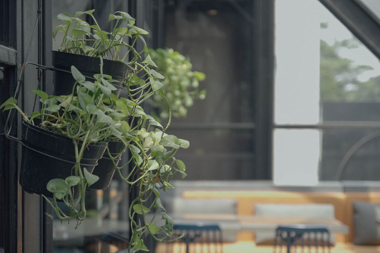 PLTS Domestic Investors Interested in Making One in the Riau Islands